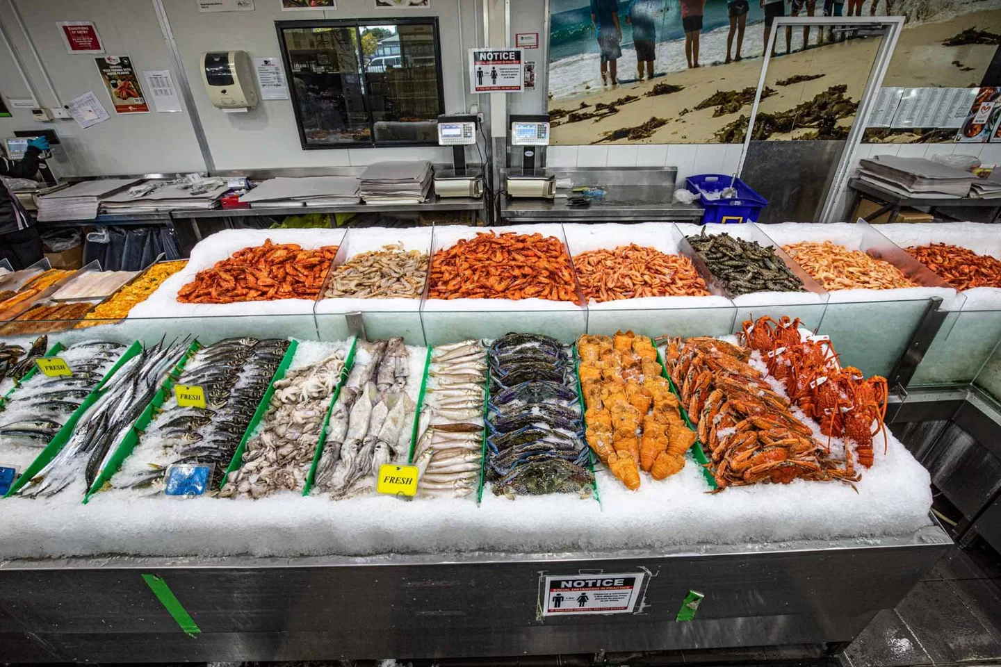 The fresh seafood counter, a long bed of crushed ice divided into rows of whole fish, prawns and shellfish