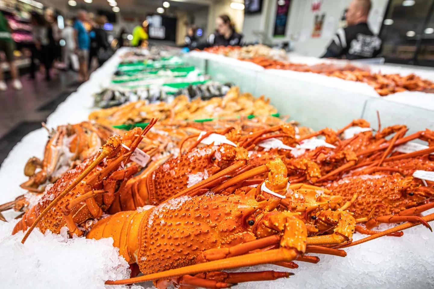 Cooked lobsters and crayfish piled on crushed ice