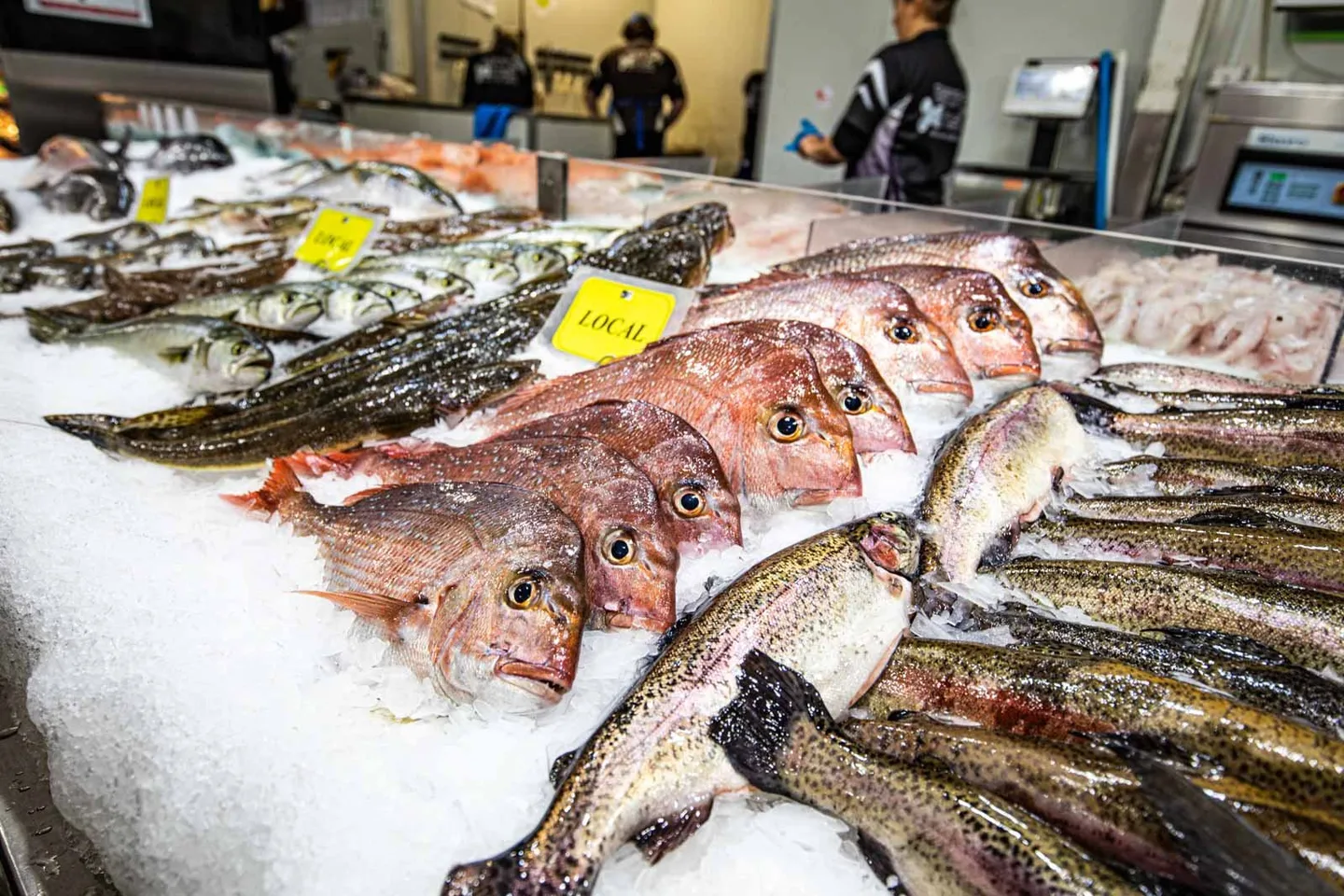 Whole local fish laid out on crushed ice with a yellow LOCAL tag