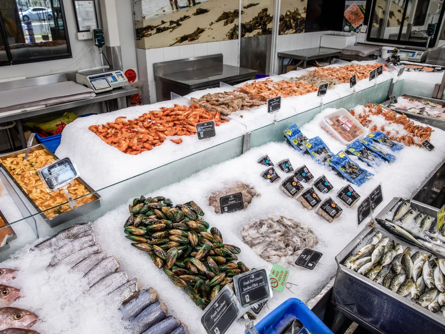 The seafood counter from above, with cooked prawns, mussels and whole fish laid out on crushed ice
