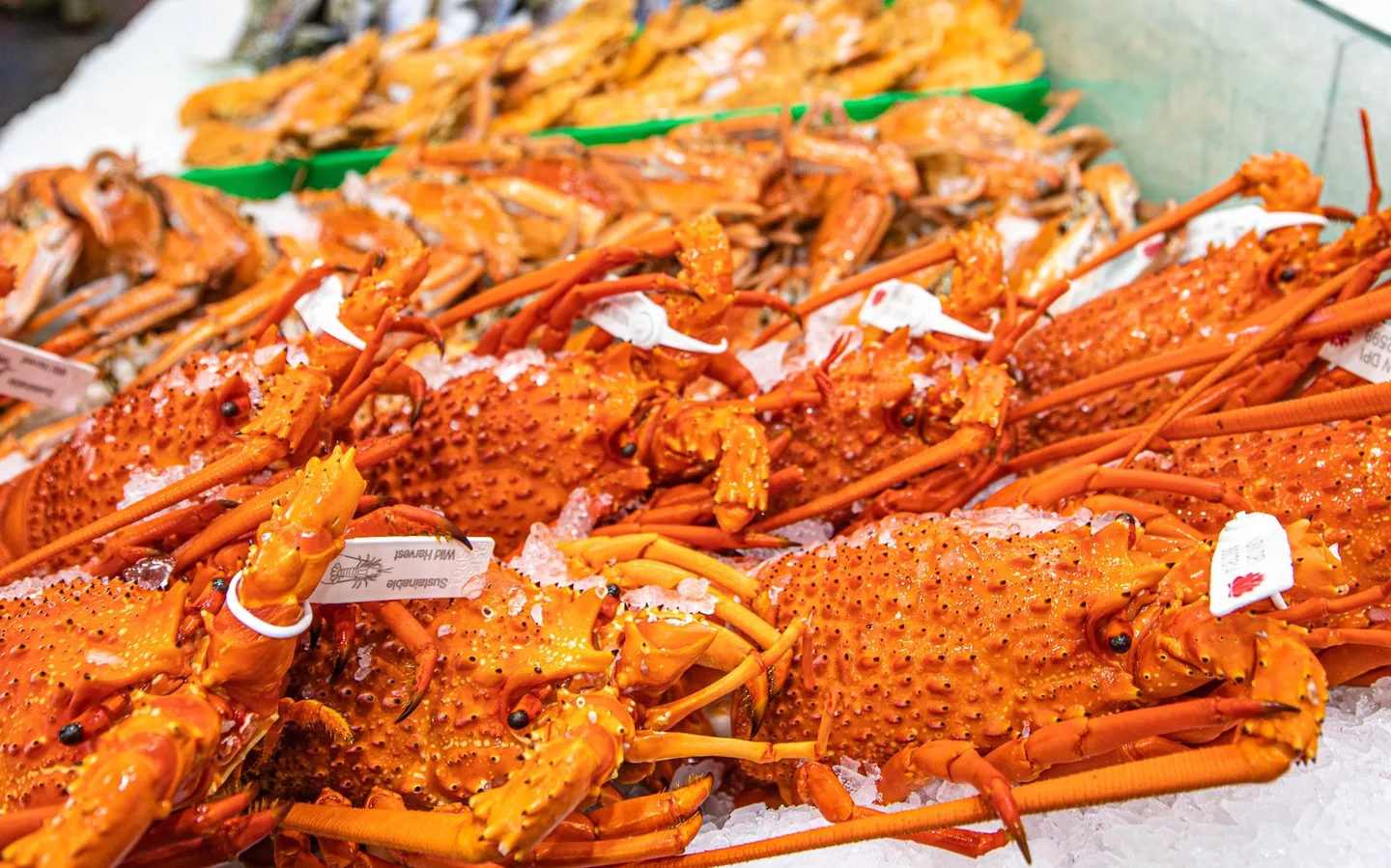 Cooked crayfish and lobsters piled on crushed ice along the counter